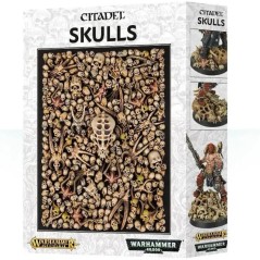 CITADEL SKULLS – Set de Crânes pour Décors & Conversion (64-29)