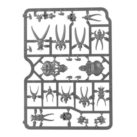 CITADEL SKULLS – Set de Crânes pour Décors & Conversion (64-29)