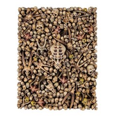 CITADEL SKULLS – Set de Crânes pour Décors & Conversion (64-29) 2