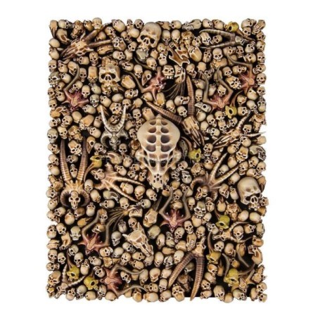 CITADEL SKULLS – Set de Crânes pour Décors & Conversion (64-29)