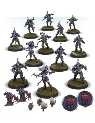 Contenu équipe Elfes Noirs Blood Bowl : Furies Witch Elves, Blitzers, Assassins et pions