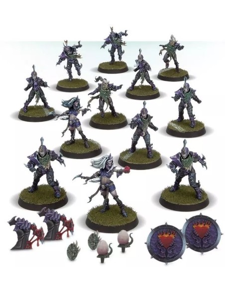 Contenu équipe Elfes Noirs Blood Bowl : Furies Witch Elves, Blitzers, Assassins et pions