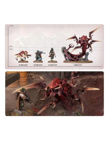 Échelle des figurines Kill Team Terreur sur Devlan - socles 28.5mm à 100mm
